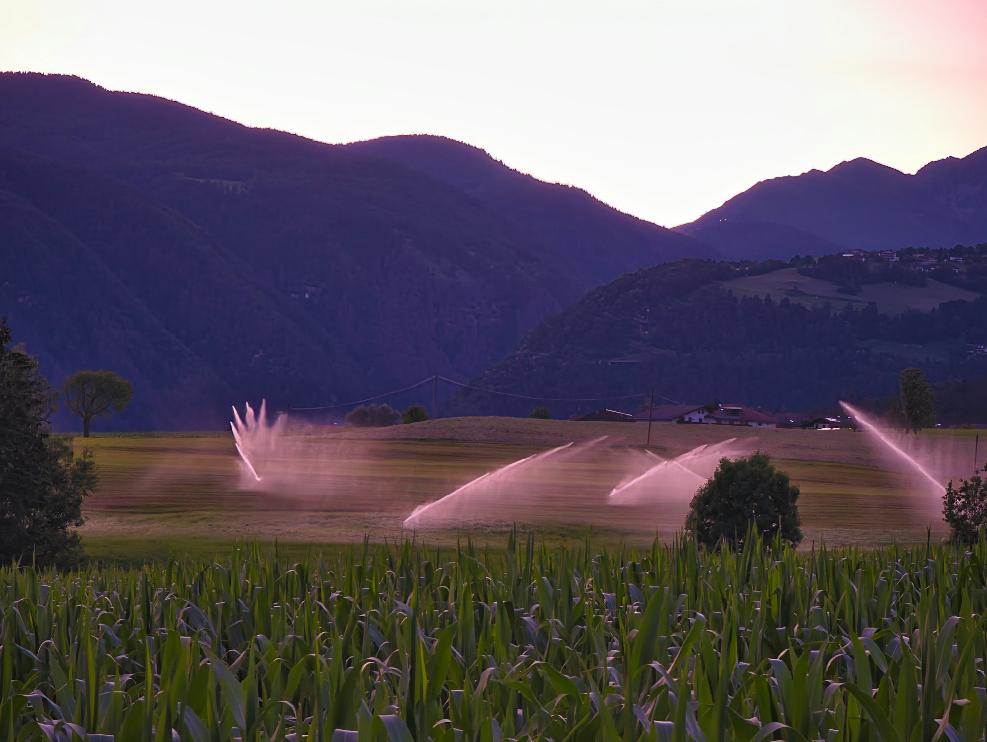 Sprinklers watering a field at dusk with mountains behind
