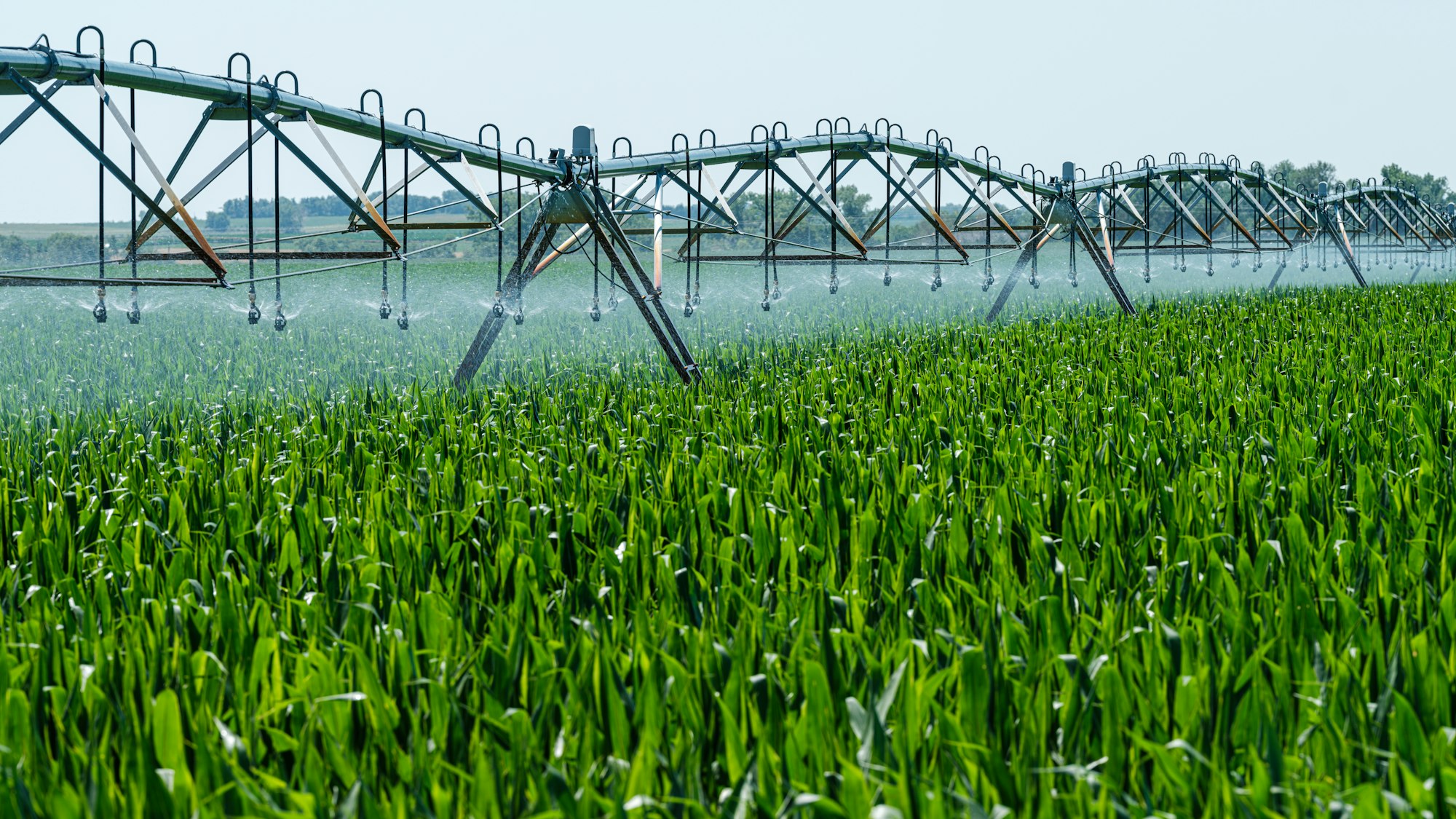 A centre-pivot irrigation system over a field of crops
